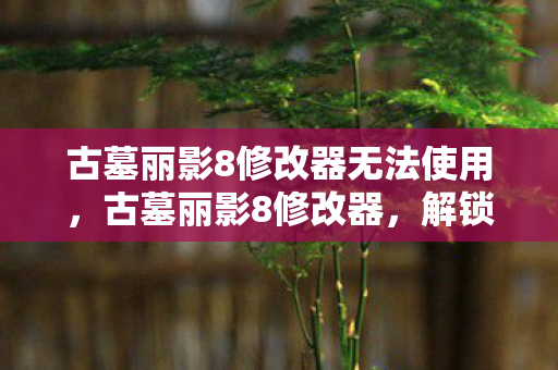 古墓丽影8修改器无法使用，古墓丽影8修改器，解锁无限可能的探险之旅