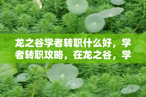 龙之谷学者转职什么好，学者转职攻略，在龙之谷，学者转什么好？