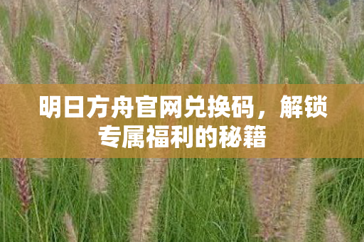 明日方舟官网兑换码，解锁专属福利的秘籍