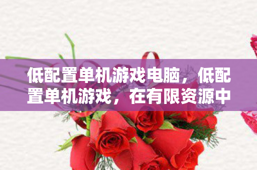 低配置单机游戏电脑，低配置单机游戏，在有限资源中享受无限乐趣