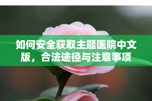 如何安全获取主题医院中文版，合法途径与注意事项