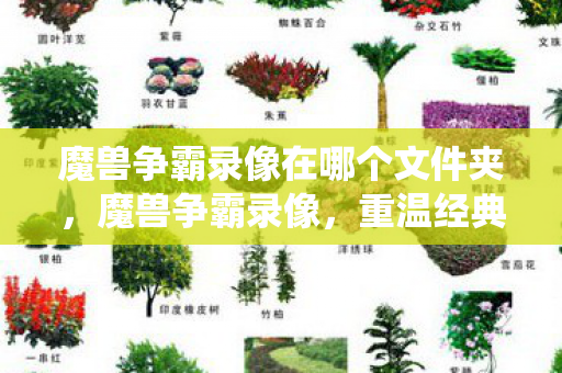 魔兽争霸录像在哪个文件夹，魔兽争霸录像，重温经典战役，感受策略与激情的碰撞