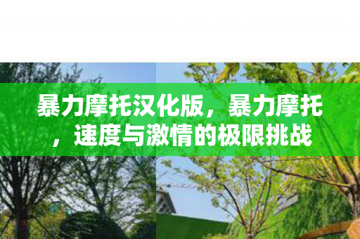 暴力摩托汉化版，暴力摩托，速度与激情的极限挑战
