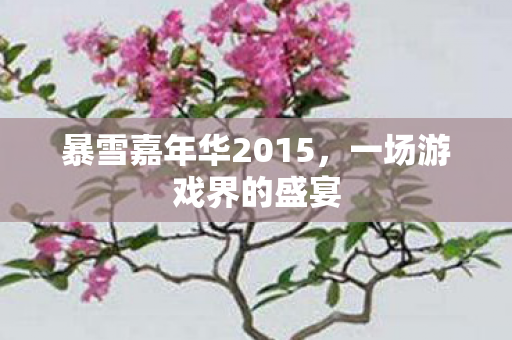 暴雪嘉年华2015，一场游戏界的盛宴