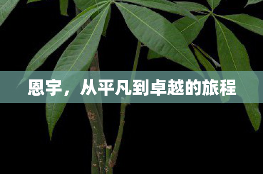 恩宇，从平凡到卓越的旅程