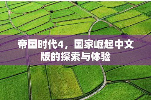 帝国时代4，国家崛起中文版的探索与体验