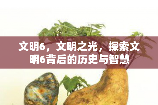 文明6，文明之光，探索文明6背后的历史与智慧