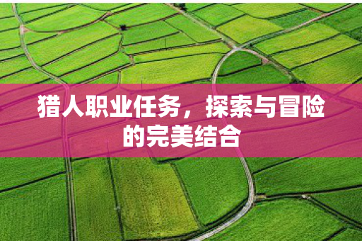 猎人职业任务，探索与冒险的完美结合