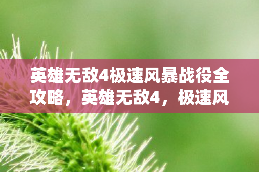 英雄无敌4极速风暴战役全攻略，英雄无敌4，极速风暴——重温经典战役的激情与策略