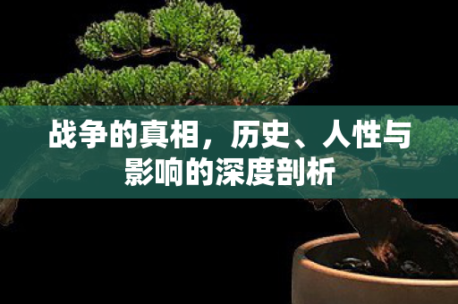战争的真相，历史、人性与影响的深度剖析