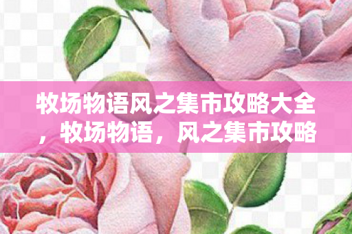 牧场物语风之集市攻略大全，牧场物语，风之集市攻略