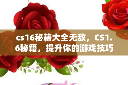 cs16秘籍大全无敌,CS1.6秘籍,提升你的游戏技巧与战术策略 cs16秘籍大全无敌,CS1.6秘籍,提升你的游戏技巧与战术策略