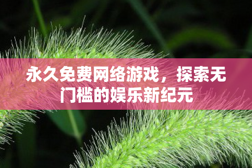 永久免费网络游戏，探索无门槛的娱乐新纪元