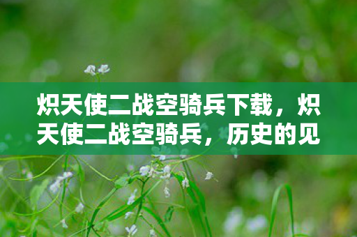 炽天使二战空骑兵下载，炽天使二战空骑兵，历史的见证与传奇的延续