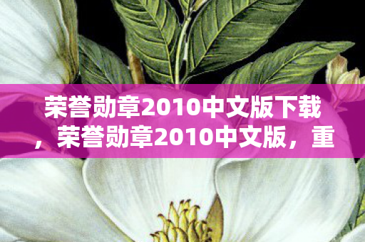 荣誉勋章2010中文版下载，荣誉勋章2010中文版，重温经典，感受战争的真实与荣耀