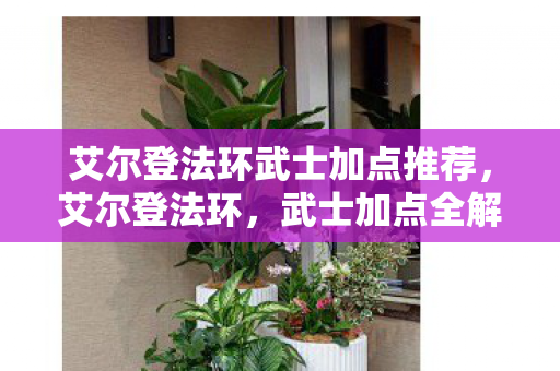 艾尔登法环武士加点推荐，艾尔登法环，武士加点全解析
