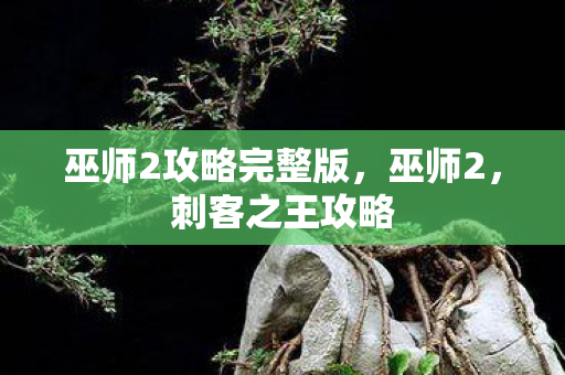 巫师2攻略完整版，巫师2，刺客之王攻略