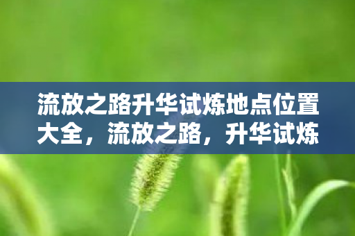 流放之路升华试炼地点位置大全，流放之路，升华试炼的奥秘与挑战
