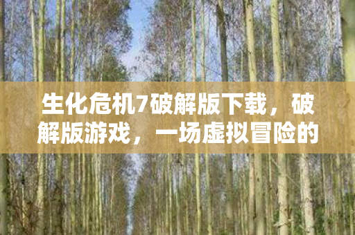 生化危机7破解版下载，破解版游戏，一场虚拟冒险的灰色地带