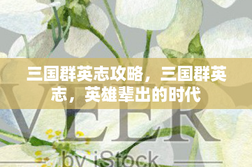 三国群英志攻略，三国群英志，英雄辈出的时代