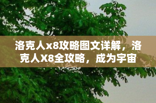 洛克人x8攻略图文详解，洛克人X8全攻略，成为宇宙英雄的挑战