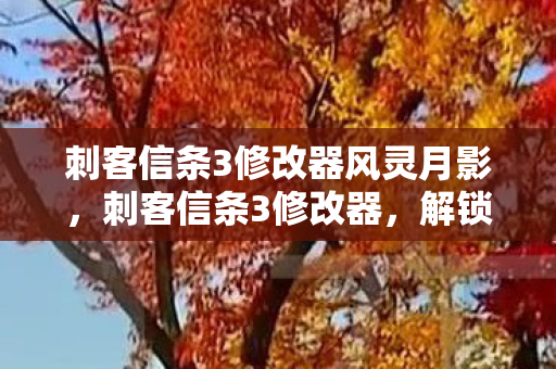 刺客信条3修改器风灵月影，刺客信条3修改器，解锁无限可能的工具