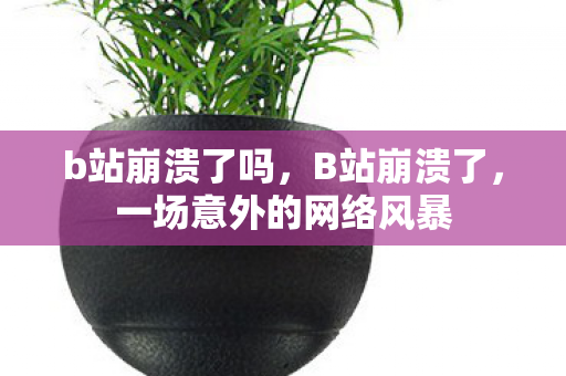b站崩溃了吗，B站崩溃了，一场意外的网络风暴