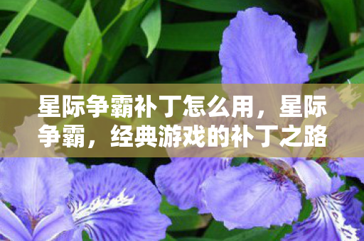 星际争霸补丁怎么用，星际争霸，经典游戏的补丁之路
