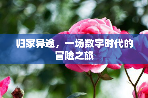 归家异途，一场数字时代的冒险之旅