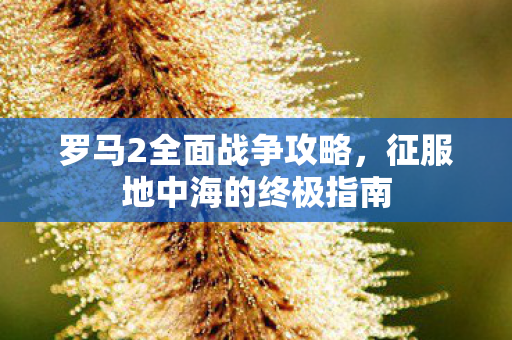 罗马2全面战争攻略,征服地中海的终极指南 罗马2全面战争攻略,征服地中海的终极指南