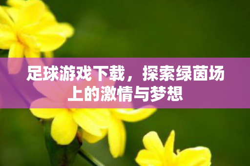 足球游戏下载，探索绿茵场上的激情与梦想