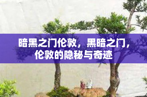 暗黑之门伦敦，黑暗之门，伦敦的隐秘与奇迹