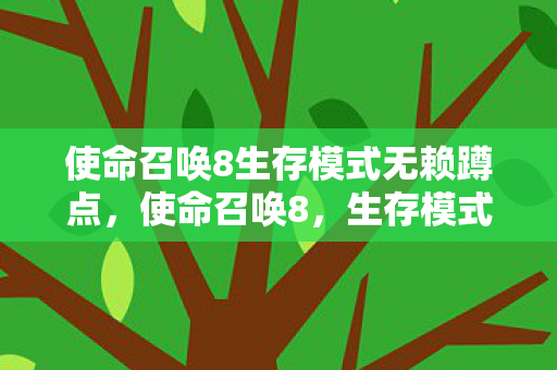 使命召唤8生存模式无赖蹲点图片