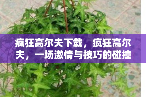 疯狂高尔夫下载,疯狂高尔夫,一场激情与技巧的碰撞 疯狂高尔夫下载,疯狂高尔夫,一场激情与技巧的碰撞