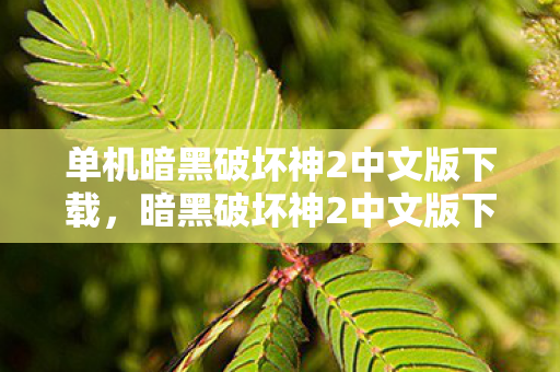 单机暗黑破坏神2中文版下载，暗黑破坏神2中文版下载全攻略，重温经典，再燃战魂