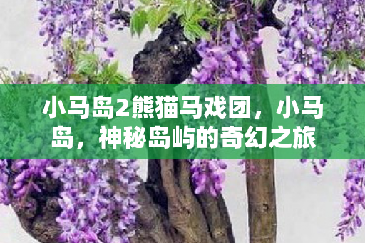 小马岛2熊猫马戏团，小马岛，神秘岛屿的奇幻之旅
