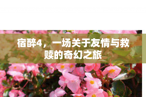 宿醉4，一场关于友情与救赎的奇幻之旅
