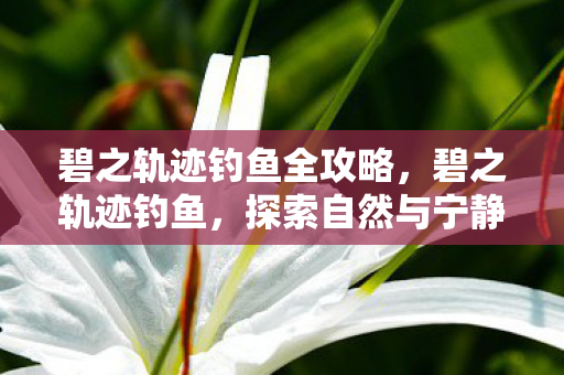 碧之轨迹钓鱼全攻略，碧之轨迹钓鱼，探索自然与宁静的艺术