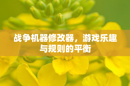 战争机器修改器，游戏乐趣与规则的平衡