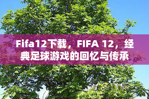 Fifa12下载，FIFA 12，经典足球游戏的回忆与传承