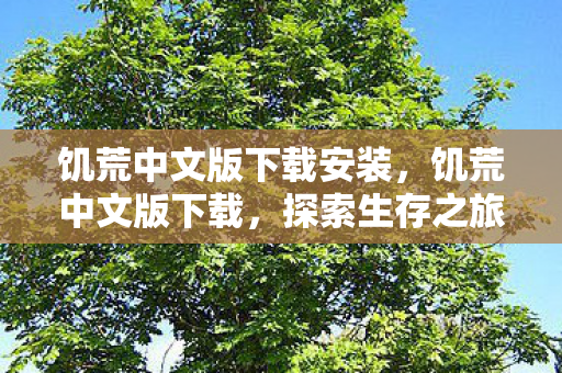 饥荒中文版下载安装，饥荒中文版下载，探索生存之旅的起点