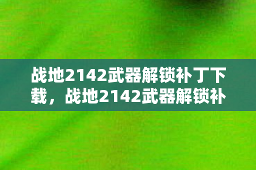 战地2142武器解锁补丁下载,战地2142武器解锁补丁,解锁无限可能,提升游戏体验 战地2142武器解锁补丁下载,战地2142武器解锁补丁,解锁无限可能,提升游戏体验
