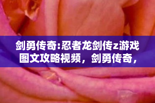 忍者龙剑传z游戏图文攻略视频图片