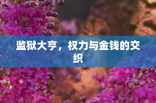 监狱大亨，权力与金钱的交织