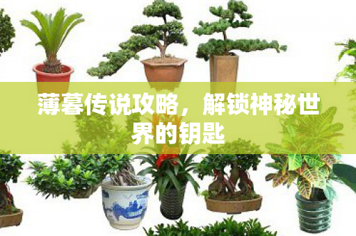 薄暮传说攻略，解锁神秘世界的钥匙