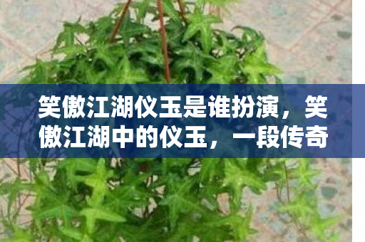 笑傲江湖仪玉是谁扮演图片