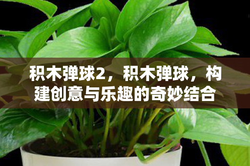 积木弹球2,积木弹球,构建创意与乐趣的奇妙结合 积木弹球2,积木弹球,构建创意与乐趣的奇妙结合