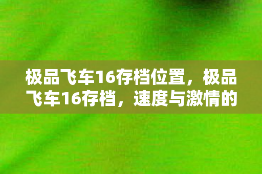 极品飞车16存档位置,极品飞车16存档,速度与激情的延续 极品飞车16存档位置,极品飞车16存档,速度与激情的延续
