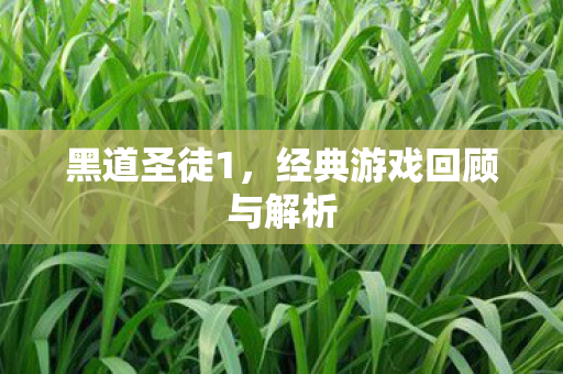 黑道圣徒1，经典游戏回顾与解析