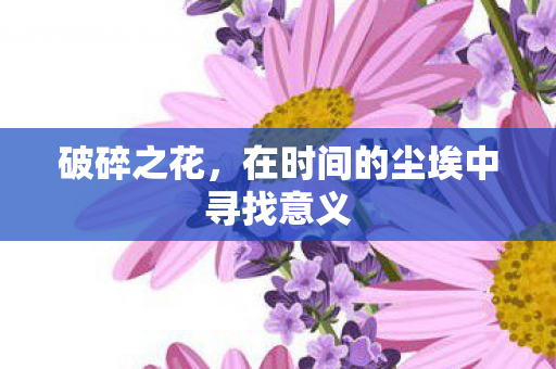 破碎之花，在时间的尘埃中寻找意义